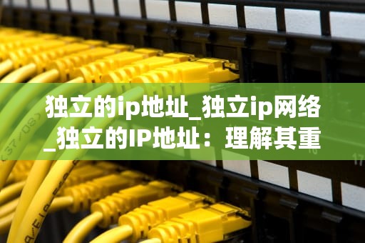 独立的ip地址_独立ip网络_独立的IP地址：理解其重要性和功能
