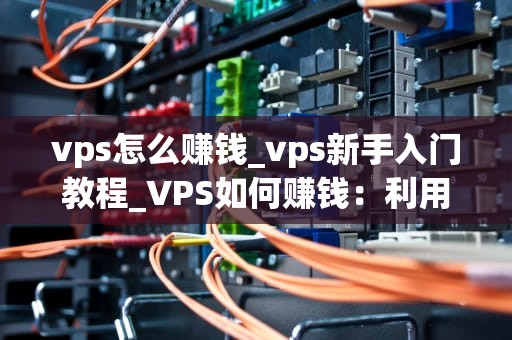 vps怎么赚钱_vps新手入门教程_VPS如何赚钱：利用虚拟私有服务器实现盈利的多种途径