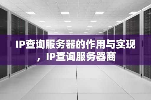 IP查询服务器的作用与实现，IP查询服务器商