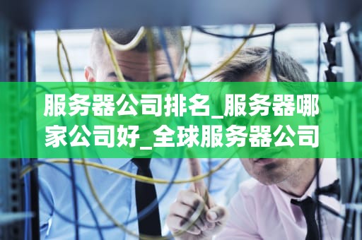 服务器公司排名_服务器哪家公司好_全球服务器公司排名及其影响力分析
