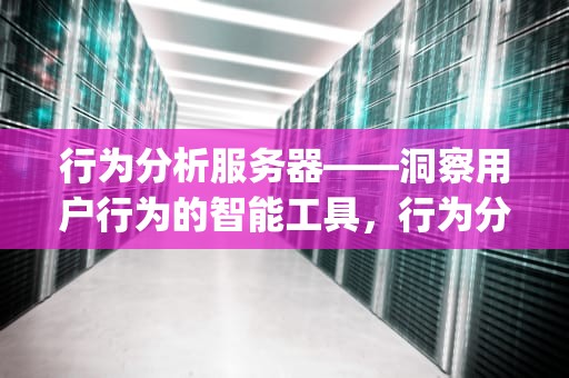 行为分析服务器——洞察用户行为的智能工具，行为分析服务器DS-IE1032-03U/J