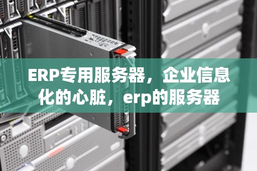 ERP专用服务器，企业信息化的心脏，erp的服务器