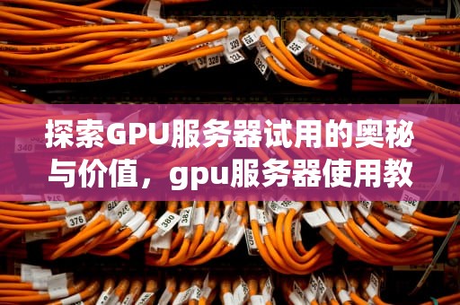 探索GPU服务器试用的奥秘与价值，gpu服务器使用教程