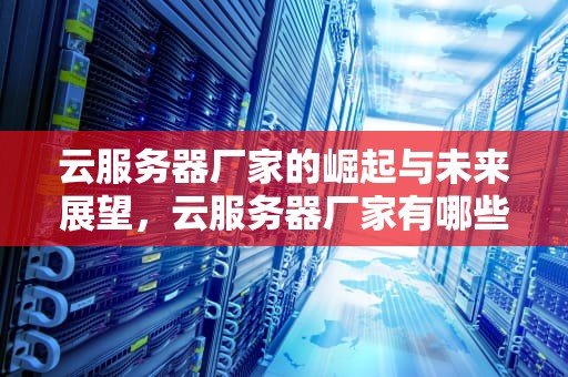 云服务器厂家的崛起与未来展望，云服务器厂家有哪些