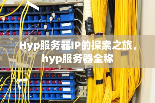 Hyp服务器IP的探索之旅，hyp服务器全称