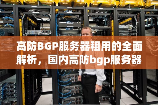 高防BGP服务器租用的全面解析，国内高防bgp服务器