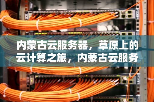 内蒙古云服务器，草原上的云计算之旅，内蒙古云服务平台