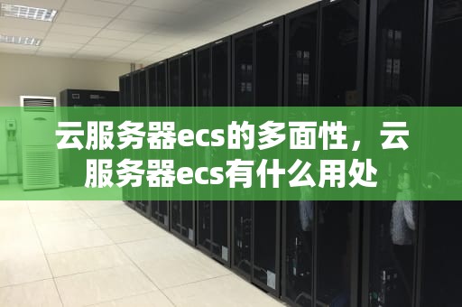 云服务器ecs的多面性，云服务器ecs有什么用处