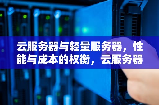 云服务器与轻量服务器，性能与成本的权衡，云服务器和轻量服务器的区别是什么