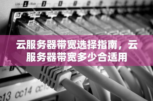 云服务器带宽选择指南，云服务器带宽多少合适用