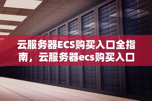 云服务器ECS购买入口全指南，云服务器ecs购买入口在哪