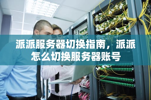派派服务器切换指南，派派怎么切换服务器账号