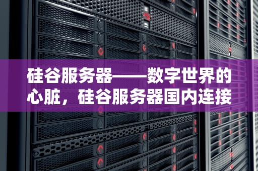 硅谷服务器——数字世界的心脏，硅谷服务器国内连接慢嘛