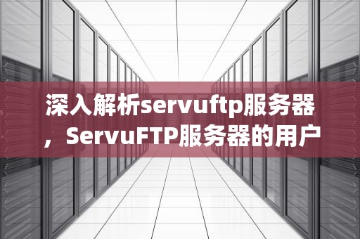 深入解析servuftp服务器，ServuFTP服务器的用户常规选项不包括