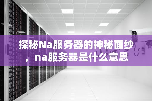 探秘Na服务器的神秘面纱，na服务器是什么意思