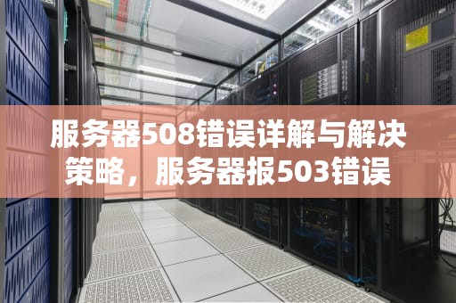 服务器508错误详解与解决策略，服务器报503错误