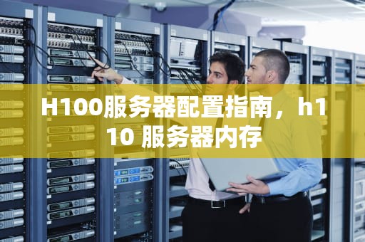 H100服务器配置指南，h110 服务器内存
