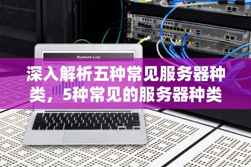 深入解析五种常见服务器种类，5种常见的服务器种类有哪些