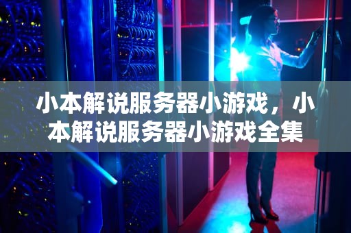 小本解说服务器小游戏，小本解说服务器小游戏全集