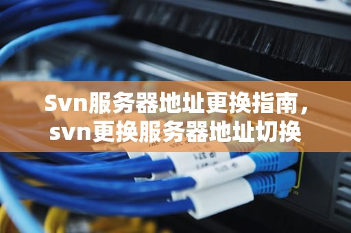 Svn服务器地址更换指南，svn更换服务器地址切换