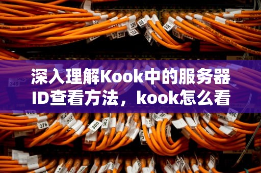 深入理解Kook中的服务器ID查看方法，kook怎么看服务器ID