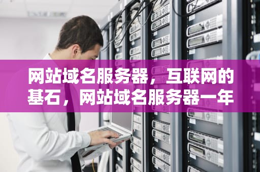 网站域名服务器，互联网的基石，网站域名服务器一年多少钱
