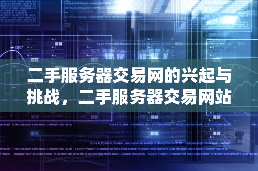 二手服务器交易网的兴起与挑战，二手服务器交易网站