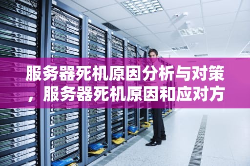 服务器死机原因分析与对策，服务器死机原因和应对方法