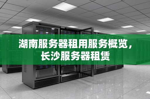 湖南服务器租用服务概览，长沙服务器租赁