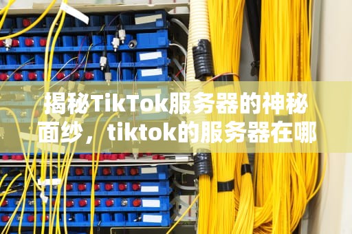 揭秘TikTok服务器的神秘面纱，tiktok的服务器在哪里