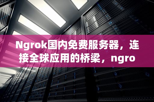 Ngrok国内免费服务器，连接全球应用的桥梁，ngrok 服务端