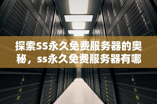 探索SS永久免费服务器的奥秘，ss永久免费服务器有哪些
