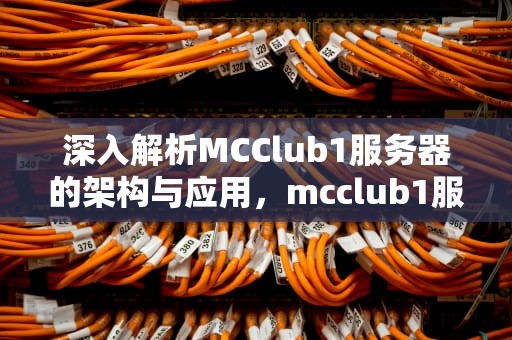 深入解析MCClub1服务器的架构与应用，mcclub1服务器下载