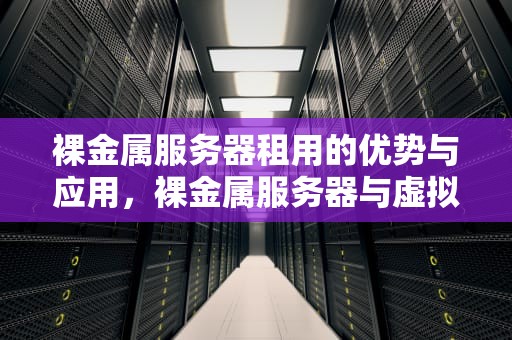 裸金属服务器租用的优势与应用，裸金属服务器与虚拟机的区别