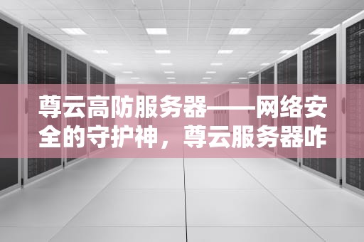 尊云高防服务器——网络安全的守护神，尊云服务器咋样