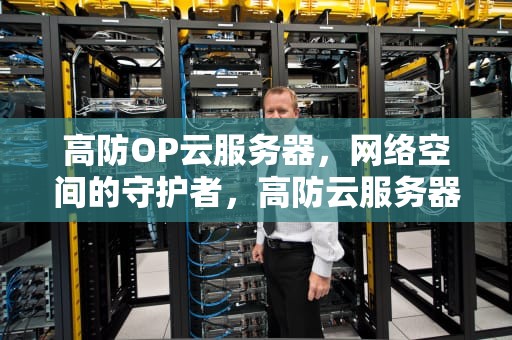 高防OP云服务器，网络空间的守护者，高防云服务器推荐