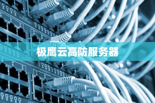 极鹰云高防服务器