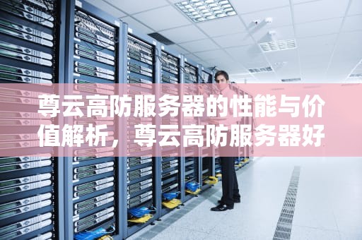 尊云高防服务器的性能与价值解析，尊云高防服务器好吗安全吗
