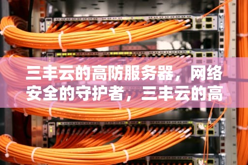 三丰云的高防服务器，网络安全的守护者，三丰云的高防服务器怎么样