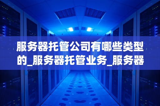服务器托管公司有哪些类型的_服务器托管业务_服务器托管公司的类型及其特点
