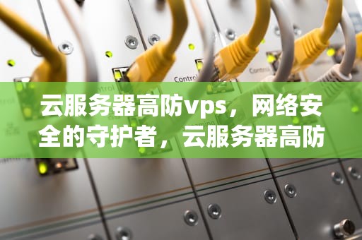 云服务器高防vps，网络安全的守护者，云服务器高防太贵怎么办