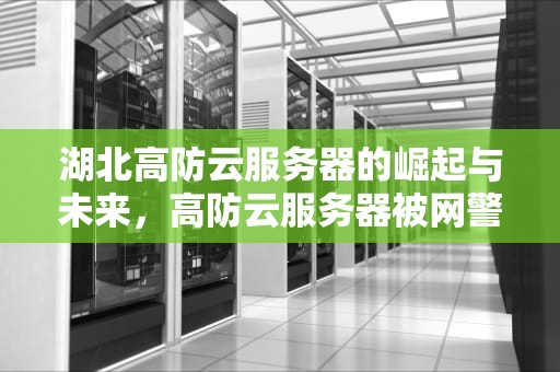 湖北高防云服务器的崛起与未来，高防云服务器被网警