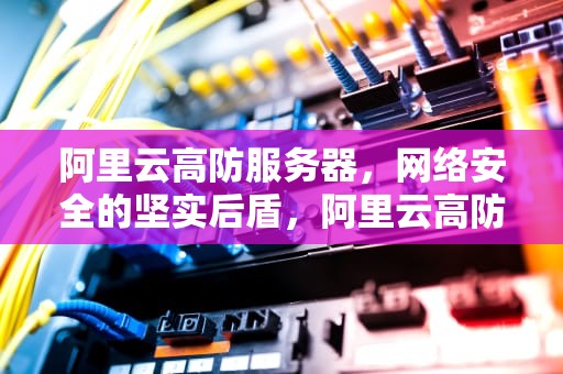 阿里云高防服务器，网络安全的坚实后盾，阿里云高防服务器