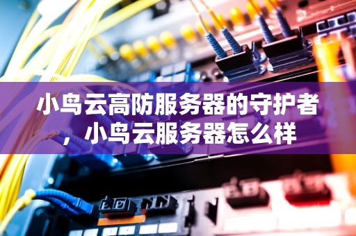 小鸟云高防服务器的守护者，小鸟云服务器怎么样