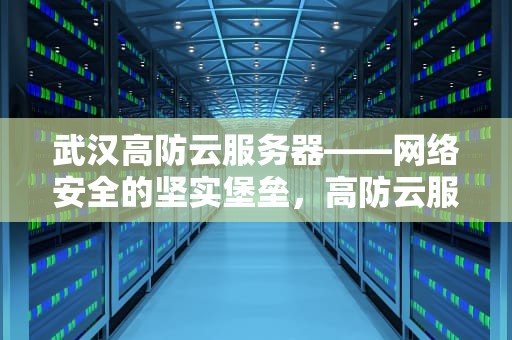 武汉高防云服务器——网络安全的坚实堡垒，高防云服务器选哪家