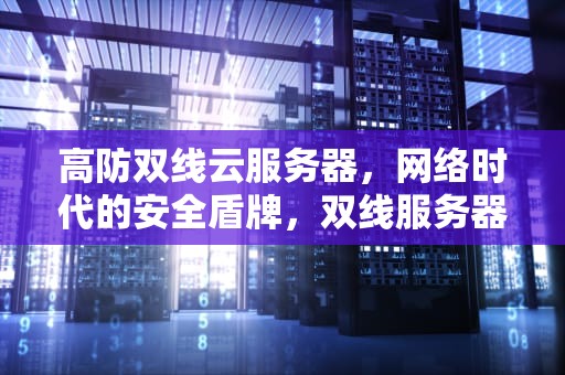 高防双线云服务器，网络时代的安全盾牌，双线服务器防御