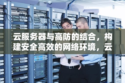 云服务器与高防的结合，构建安全高效的网络环境，云服务器和高防服务器的区别