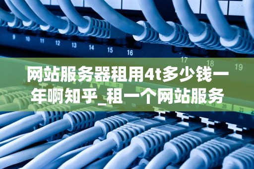 网站服务器租用4t多少钱一年啊知乎_租一个网站服务器一年多少钱_网站服务器租用4T一年的费用分析