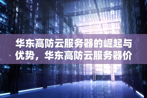华东高防云服务器的崛起与优势，华东高防云服务器价格