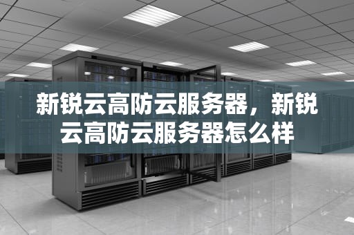 新锐云高防云服务器，新锐云高防云服务器怎么样